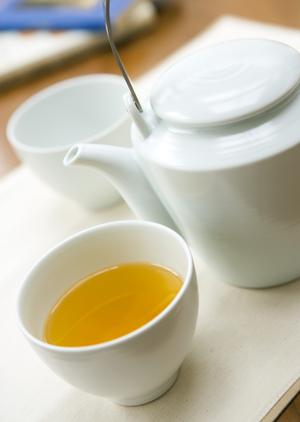 みなとみらいのシェイクシャック：開放感あふれるバーガー体験