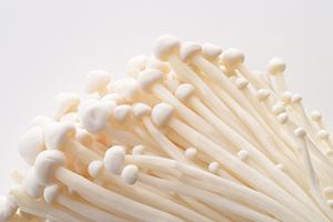 新橋の居酒屋「izakaya東京 Ginza」の魅力とおすすめメニューを徹底解剖！