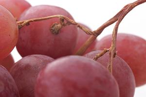 2025年最新！新宿で見つける最高のカフェ体験ガイド