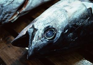 安全で美味しいお米ならマイセンがおすすめです