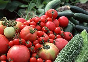 セルフカフェ・スイーツを楽しめる広々空間｜かめ福オンプレイスの魅力と詳細情報