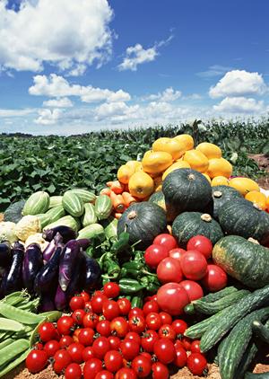 ケータリングなら東京でおすすめのお店