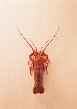 ウイスキーを通販で手に入れたい方は