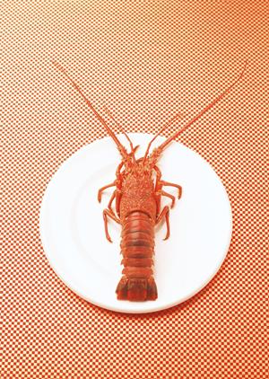 大阪のお好み焼き専門店「ぼてぢゅう」グループの魅力と最新店舗情報