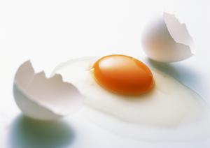 アイランドグリル那覇｜株式会社ジミーが誇るアメリカンスタイルレストランとビュッフェの魅力