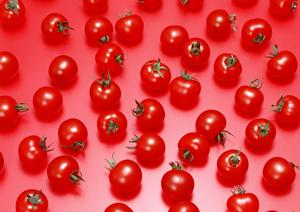 おいしい餃子を食べにいきましょう